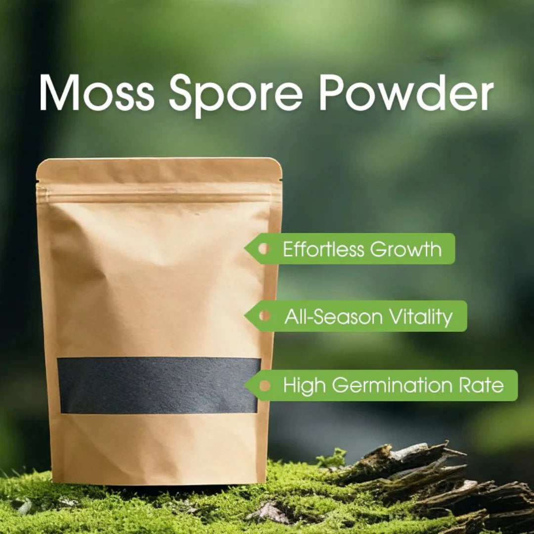 Imported Moss Spore Powder